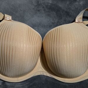 Freya bra nwot 32 h ( us)